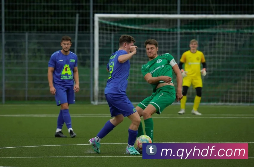 巅峰国际发展历程